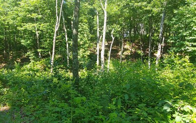 0 Hilton Dr unit 325899, Ellijay, GA 30540 - photo 6