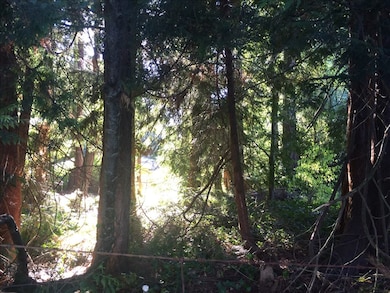 8705 Maplewood Ln, Edmonds, WA 98026 - photo 4