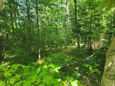 00 Fahi Pond Rd, Embden, ME 04958 - photo 6