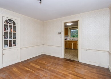 14 Ivaloo St, Waltham, MA 02452 - photo 5