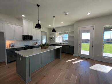 216 Chisolm Trail, Pottsboro, TX 75076 - photo 6