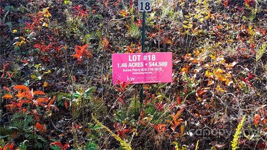 81 Timber Ridge Cir unit LOT 18, Leicester, NC 28748 - photo 3