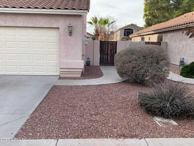F Side Yard