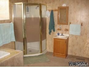 REALLY COOL MASTER BATHROOM