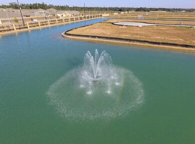 29655 Yaupon Shore Dr, Spring, TX 77386 - photo 4