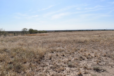 85 Private Road 527, Brady, TX 76825 - photo 6