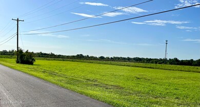 IMG_4249