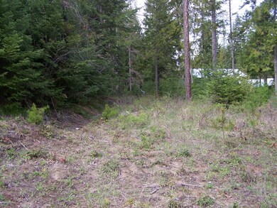 LAND 3