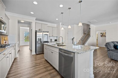 1734 Santa Clara Trace, Lake Wylie, SC 29710 - photo 6