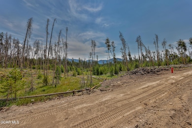TBD Gcr 471 #4, Grand Lake, CO 80447 - photo 3