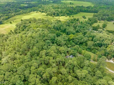 115 Cochran Ct, Byron, GA 31008 - photo 2