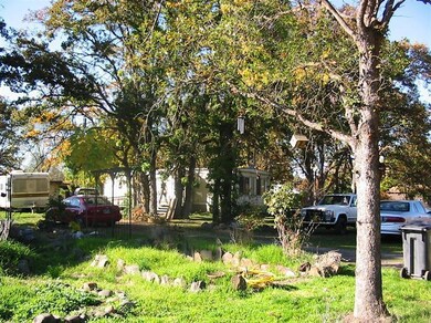 6345 Harold Rd, Central Point, OR 97502 - photo 5