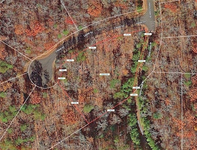 Lot145 Foxglove Trail, Ellijay, GA 30540 - photo 5