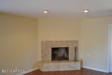 Fireplace in Family Room