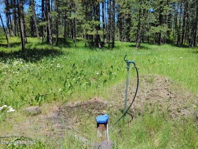 146399 E Falcon Crest Rd, Harrison, ID 83833 - photo 4