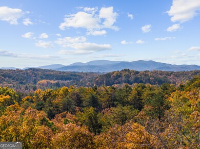 653 The Woods Rd, Mineral Bluff, GA 30559 - photo 7