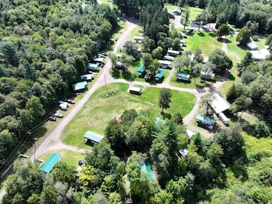 1131 Comins Rd, Osceola, NY 13437 - photo 2