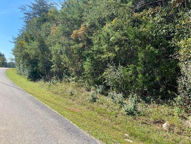 20A Lake Forest Reserve Dr, Bronston, KY 42518 - photo 5