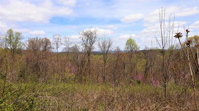 0 0 Maples Hollow Rd unit 1114351, Blaine, TN 37709 - photo 6