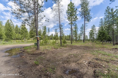 NKACoyotePassRd0653