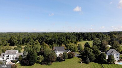 2113 Link Rd, Silver Spring, MD 20905 - photo 3