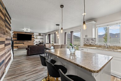 1069 W 1550 S, Springville, UT 84663 - photo 6