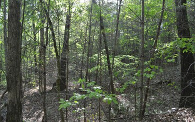 Additional View