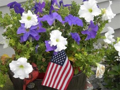 28 Carol St, Ludlow, MA 01056 - photo 3