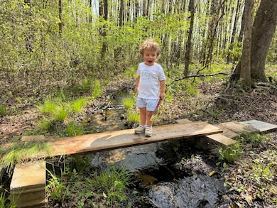 4446 Char-Augusta Rd, Bamberg, SC 29003 - photo 7