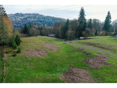 418 N 50th Ave, Longview, WA 98632 - photo 3