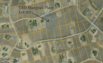 Approximate location of Lot 167 per Montana Cadast