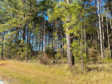 40 Ac Sally Parker Rd, Lucedale, MS 39452 - photo 4