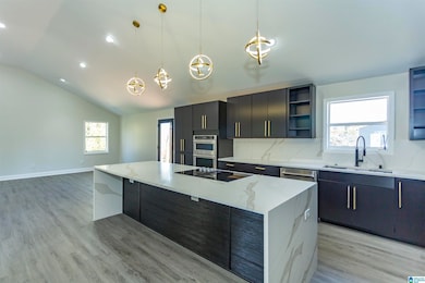 739 47th St S, Birmingham, AL 35222 - photo 3