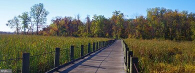 6508 Potomac Ave unit A1, Alexandria, VA 22307 - photo 3