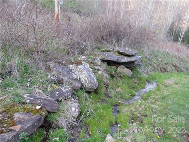 000 Summer Trees Ln, Burnsville, NC 28714 - photo 5