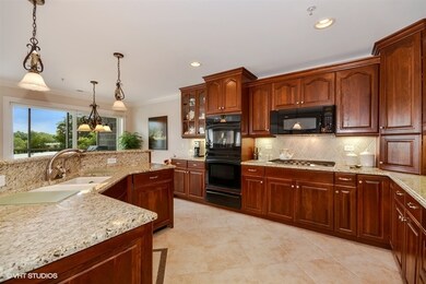 206 N Water St unit 303, Batavia, IL 60510 - photo 7