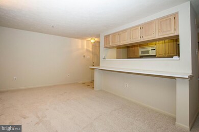 3217 Katewood Ct unit 2, Baltimore, MD 21209 - photo 6