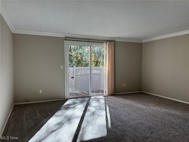 3869 Lake Run Blvd, Stow, OH 44224 - photo 6