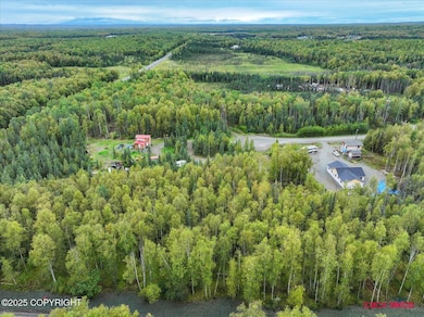 755 N Irish Setter Cir, Meadow Lakes, AK 99654 - photo 7