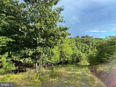 0 Upland Trail unit WVMO2002074, Berkeley Springs, WV 25411 - photo 6