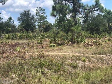 313 Wells Ave, Lehigh Acres, FL 33936 - photo 4