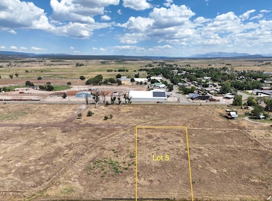 115 S Oro Place, Norwood, CO 81423 - photo 2