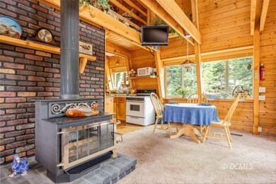 Wood Burning Stove