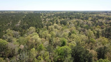 000 U S 79, Pine Bluff, AR 71603 - photo 7