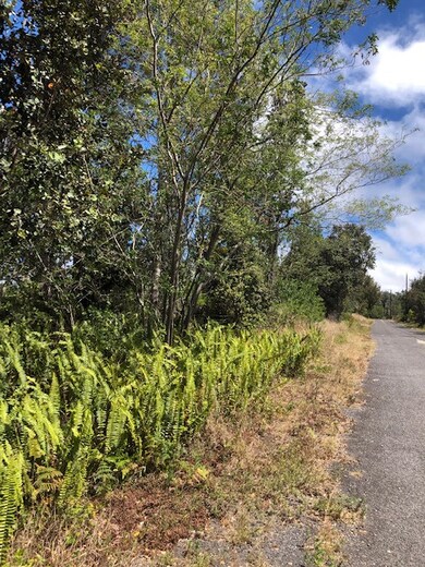 0 Bamboo Ln unit 710662, Ocean View, HI 96704 - photo 4