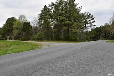 000 Parrish Ridge Ln, Tunnel Hill, IL 62972 - photo 2