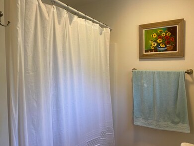 Bathroom 2 Shower