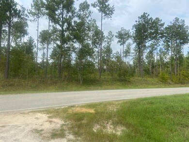 00 Spring Flats Rd, Sylvester, GA 31791 - photo 3