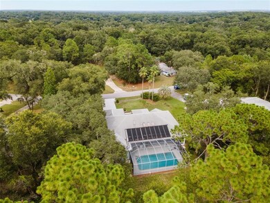 Birds eye view