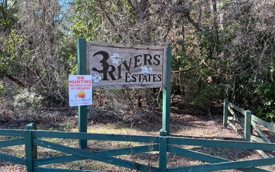 3902 280th St, Branford, FL 32008 - photo 5